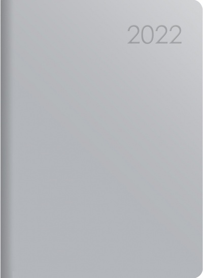 Ежедневник датированный на 2022 год. Paragraph. Серебро, А6, 176 листов Listoff 