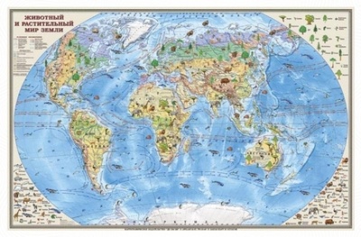 Карта "Животный и растительный мир Земли" для детей (НД30076) Ди Эм Би (DMB) 