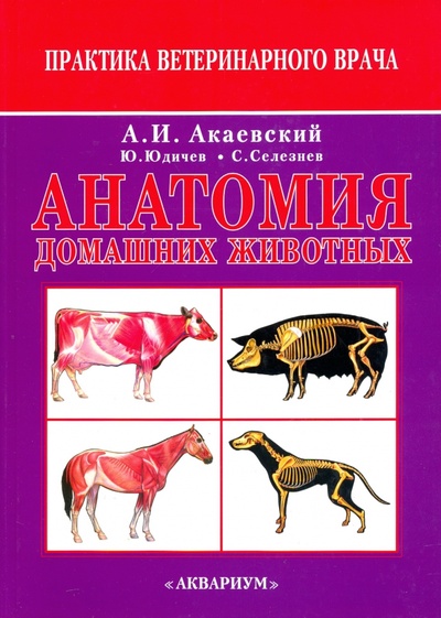 Анатомия домашних животных Аквариум-Принт 