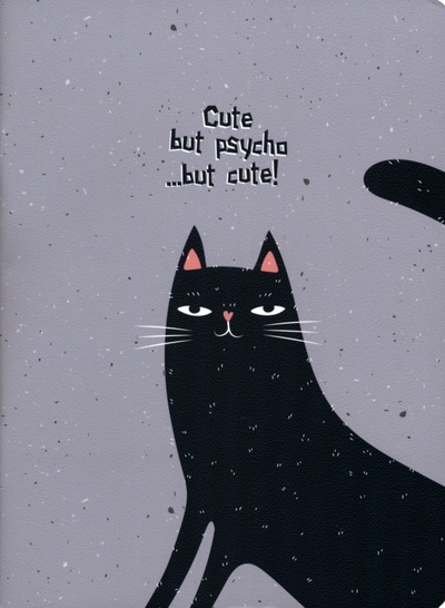 Тетрадь Silly. Черный кот, А5+, 48 листов, клетка BeSmart 