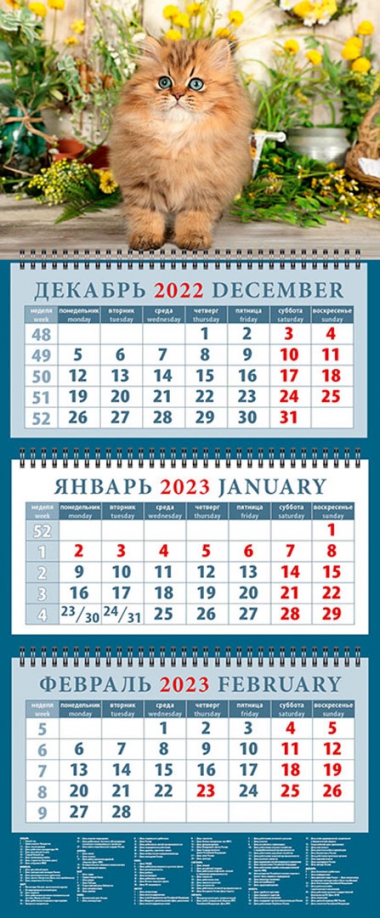 Календарь на 2023 год. Год кота. Очаровательный малыш День за днём 