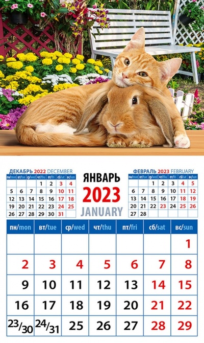 Календарь на 2023 год. Год кота и кролика. Настоящие друзья День за днём 