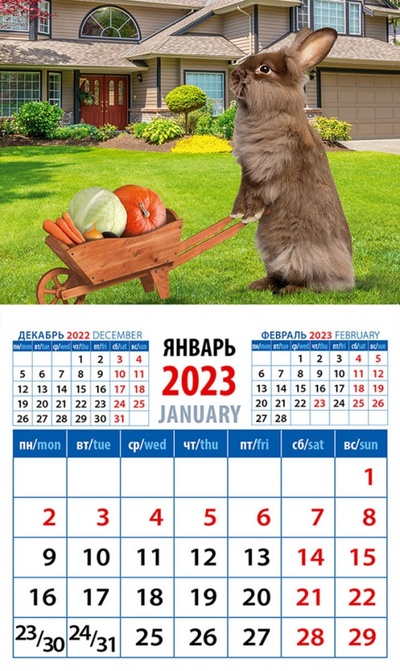 Календарь на 2023 год. Год кролика. Хороший урожай День за днём 