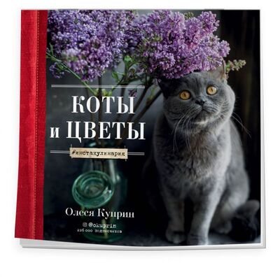 Книга: Коты и цветы. Календарь настенный на 2022 год (Олеся Куприн) (300х300 мм) (Олеся Куприн) ; ООО 