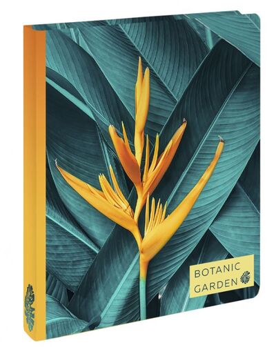 Книга: Тетрадь общая на кольцах «Тропический цветок», А5, 100 листов (нет автора) ; ООО 