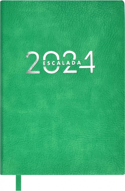 Ежедневник датированный на 2024 год Шеврет экстра, зеленый, А6+, 120 листов Феникс+ 