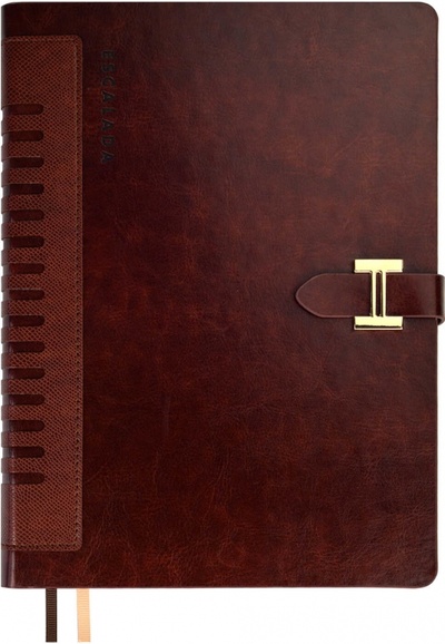 Ежедневник недатированный Сариф экстра, коричневый, А5+, 160 листов Феникс+ 
