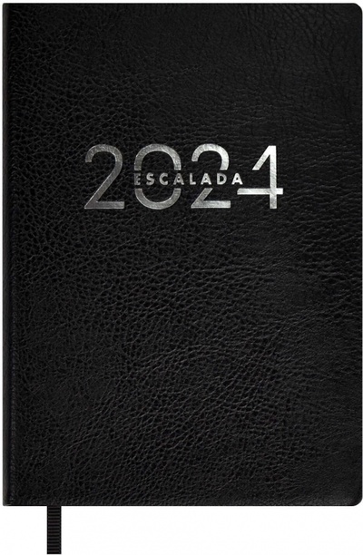 Ежедневник датированный на 2024 год Шеврет экстра, черный, А6+, 120 листов Феникс+ 