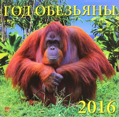 Календарь настенный на 2016 год. Год обезьяны День за днём 