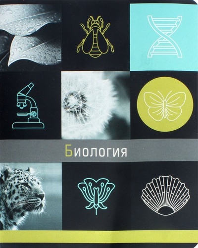 Тетрадь предметная Грани науки. Биология, 48 листов, клетка Феникс+ 