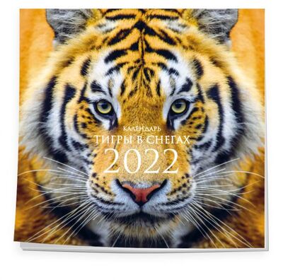 Книга: Тигры в снегах. Календарь настенный на 2022 год (300х300 мм) (нет автора) ; ООО 