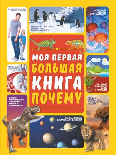 Книга: Моя первая большая книга ПОЧЕМУ (Ермакович Дарья Ивановна) ; Аванта, 2019 