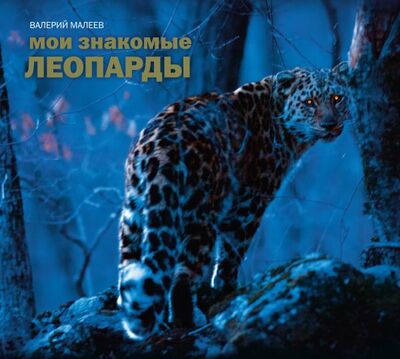 Книга: Мои знакомые леопарды (Малеев Виктор Васильевич) ; Манн, Иванов и Фербер, 2014 