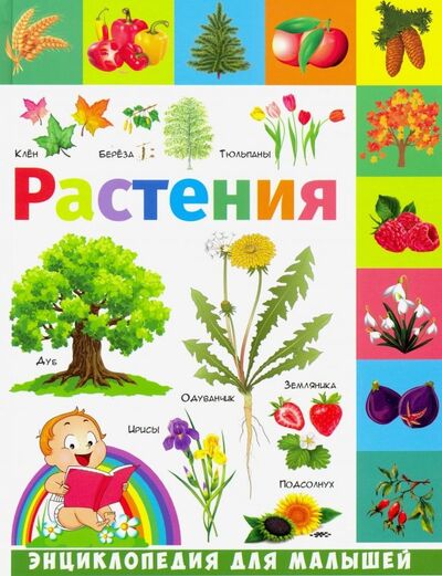 Книга: Растения (Гриценко Елена Николаевна) ; Владис, 2020 