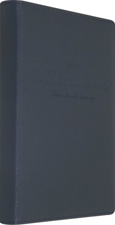 Ежедневник недатированный, 160 листов, А5, Genesis, серый (AZ890/grey) Доминанта 