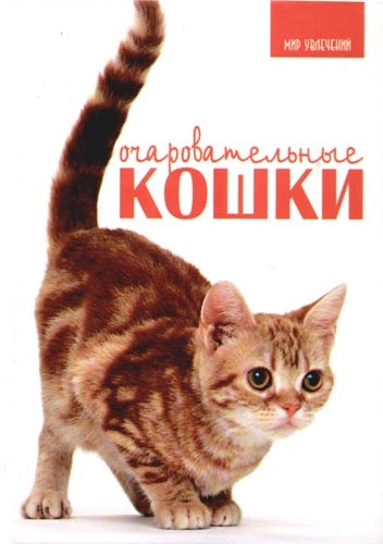 Книга: Очаровательные кошки (Принс К.) ; Феникс, 2006 
