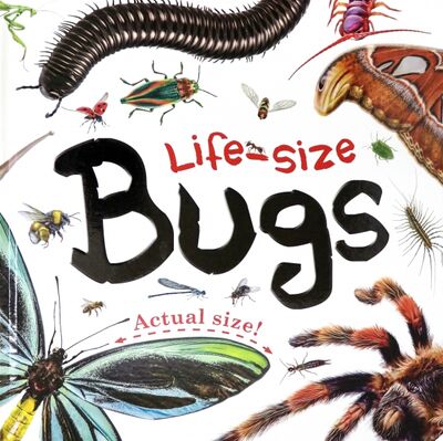 Книга: Life-size. Bugs; Igloo Books, 2018 