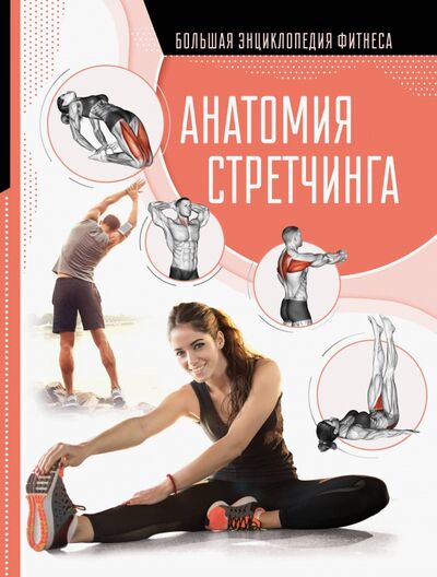 Книга: Анатомия стретчинга (Степук Наталья Генриховна) ; АСТ, 2020 