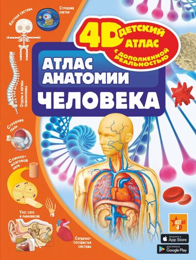 Книга: Атлас анатомии человека (Спектор Анна Артуровна) ; Аванта, 2020 