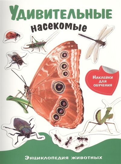 Книга: Удивительные насекомые; Стрекоза, 2018 