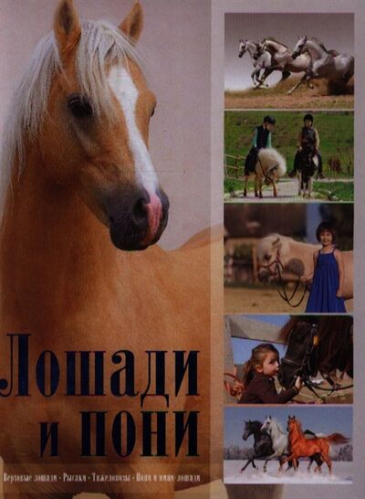 Книга: Лошади и пони (Жабцев В.) ; Харвест, 2014 