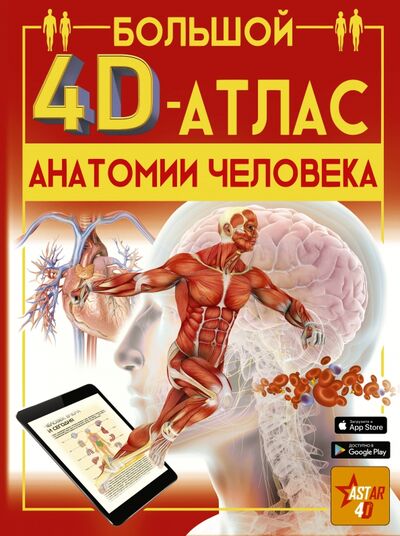 Книга: Большой 4D-атлас анатомии человека (Спектор Анна Артуровна) ; Аванта, 2020 