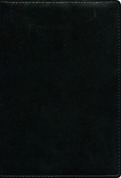 Ежедневник недатированный "Challenge" (320 страниц, 14х20 см, черный) (AZ066/black) Доминанта 