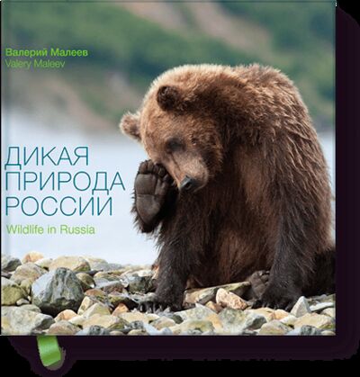 Книга: Дикая природа России (Валерий Малеев) ; МИФ, 2012 