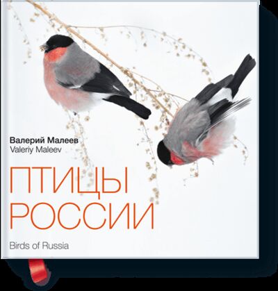 Книга: Птицы России (Валерий Малеев) ; МИФ, 2013 