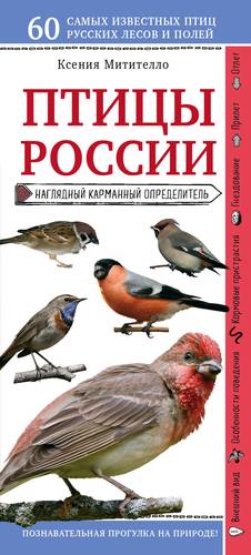 Книга: Птицы России. Наглядный карманный определитель (Митителло Ксения Борисовна) ; Эксмо, 2018 