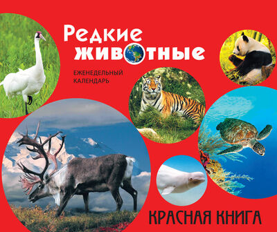 Книга: Редкие животные. Красная книга (Скалдина Оксана Валерьевна) ; Эксмо, 2014 