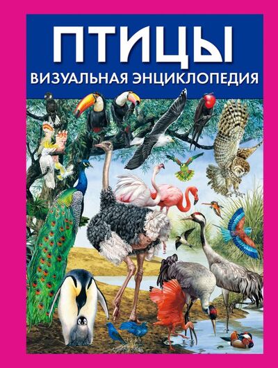 Книга: Птицы. Визуальная энциклопедия (Элдертон Дэвид) ; Эксмо, 2012 