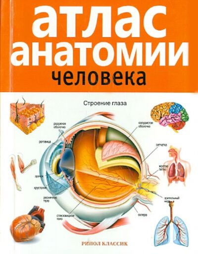 Книга: Атлас анатомии человека (Красичкова Е.) ; Рипол-Классик, 2020 