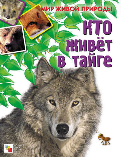 Книга: Кто живет в тайге (Е. Краснушкина) ; МОЗАИКА-СИНТЕЗ, 2010 