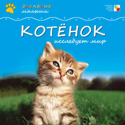 Книга: Котёнок исследует мир (Майкл Тейтелбаум) ; МОЗАИКА-СИНТЕЗ, 2011 