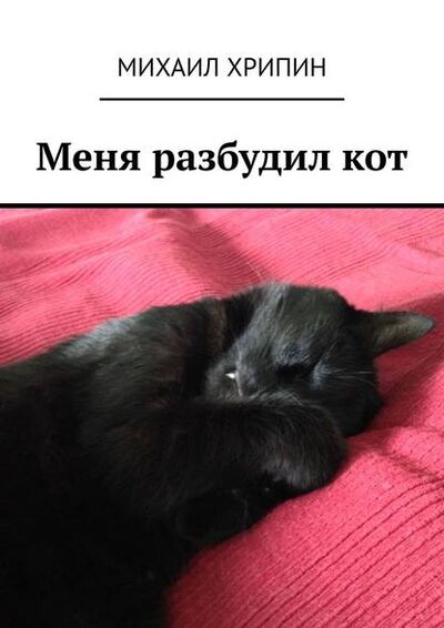 Книга: Меня разбудил кот (Михаил Хрипин) ; Издательские решения