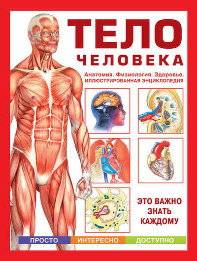 Книга: Тело человека. Анатомия. Физиология. Здоровье (Группа авторов) ; Издательство АСТ, 2012 