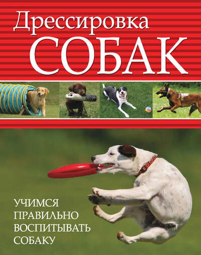 Книга: Дрессировка собак. Учимся правильно воспитывать собаку (Группа авторов) ; Издательство АСТ, 2012 