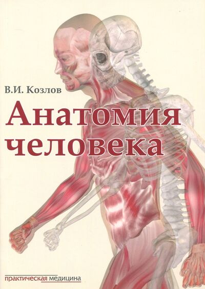 Книга: Анатомия человека. Учебник (Козлов Валентин Иванович) ; Практическая медицина, 2020 