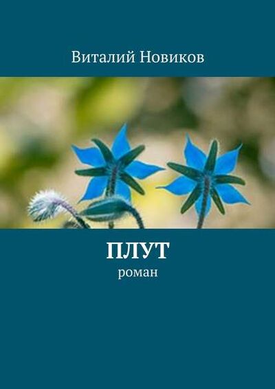 Книга: Плут. роман (Виталий Новиков) ; Издательские решения