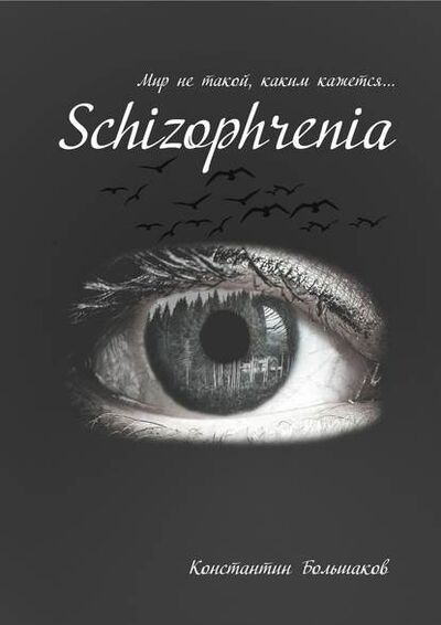 Книга: Schizophrenia. Мир не такой, каким кажется (Константин Большаков) ; Издательские решения
