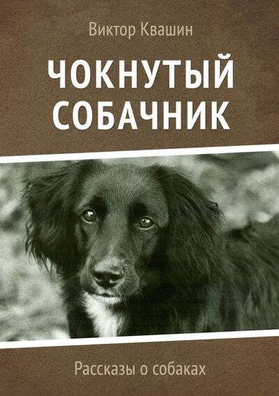 Книга: Чокнутый собачник. Рассказы о собаках (Виктор Квашин) ; Издательские решения