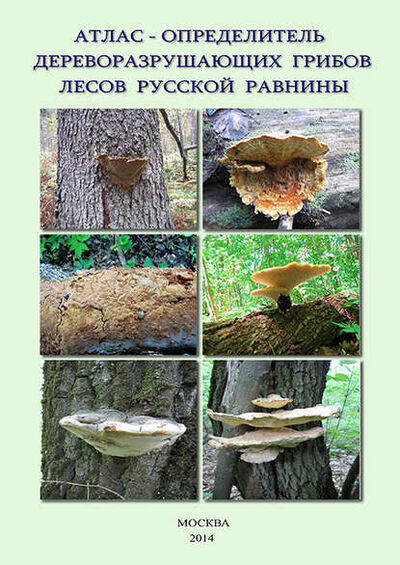 Книга: Атлас-определитель дереворазрушающих грибов лесов Русской равнины (В. Г. Стороженко) ; Товарищество научных изданий КМК, 2014 