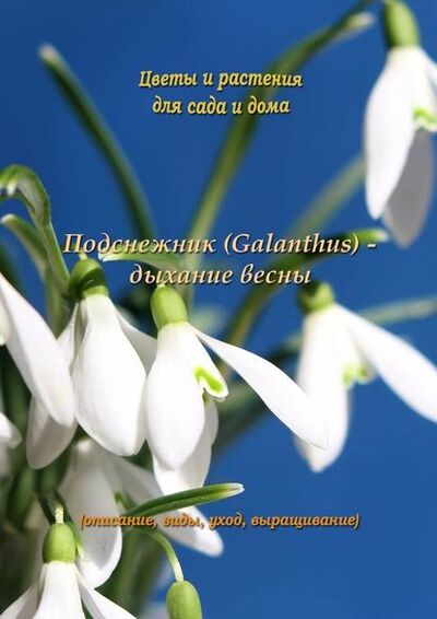 Книга: Подснежник (Galanthus) – дыхание весны (Федор Кольцов) ; Издательские решения