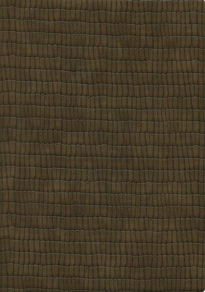 Бизнес-блокнот "Анаконда+Виннер" (А5, 96 листов, серо-коричневый) (47673) Феникс+ 