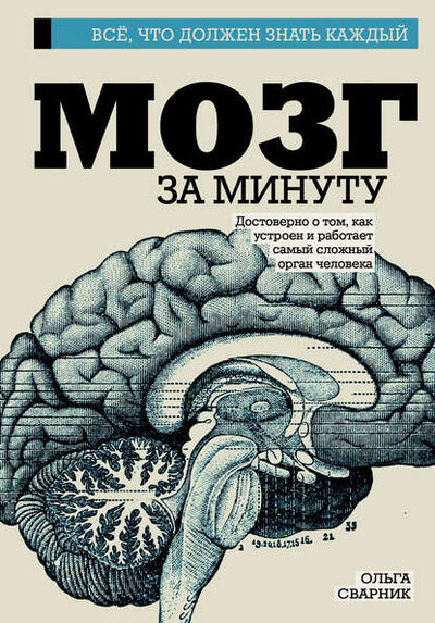 Книга: Мозг за минуту (Ольга Сварник) ; АСТ, 2017 
