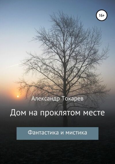 Книга: Дом на проклятом месте (Александр Владимирович Токарев) ; Автор, 2018 