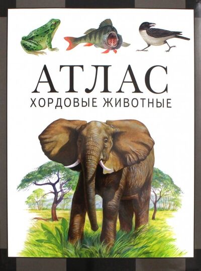 Книга: Хордовые животные. Атлас (Козлов Михаил Алексеевич, Дольник Виктор Рафаэльевич) ; МЦНМО, 2020 