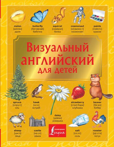 Книга: Визуальный английский для детей (Державина Виктория Александровна, Френк Ирина) ; АСТ, 2020 