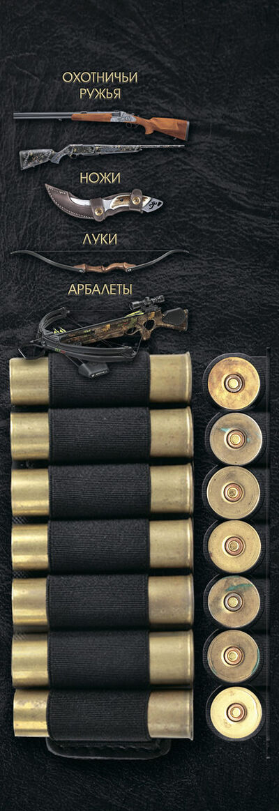 Книга: Охотничьи ружья, ножи, луки, арбалеты (В. Н. Шунков) ; ХАРВЕСТ, 2011 